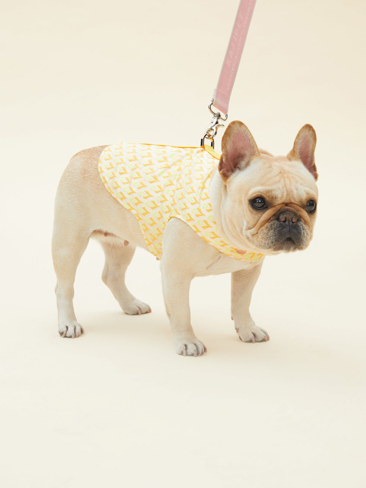 SIGNATURE HARNESS (ORANGE)