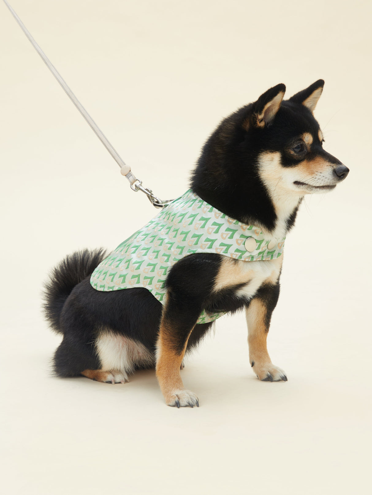 SIGNATURE HARNESS (VERDANT)