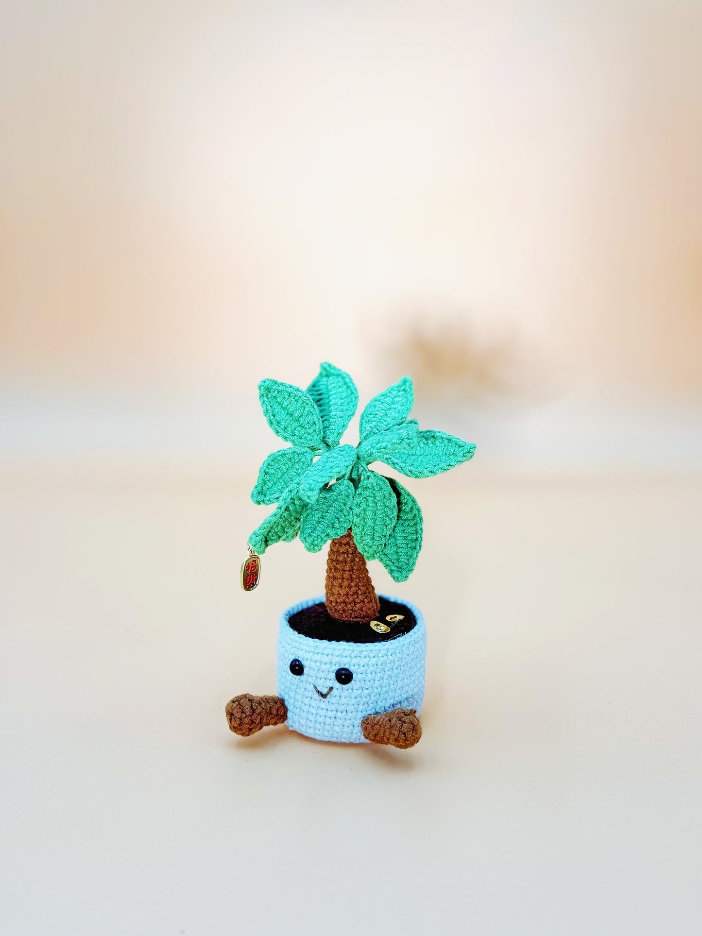Money Tree Pot