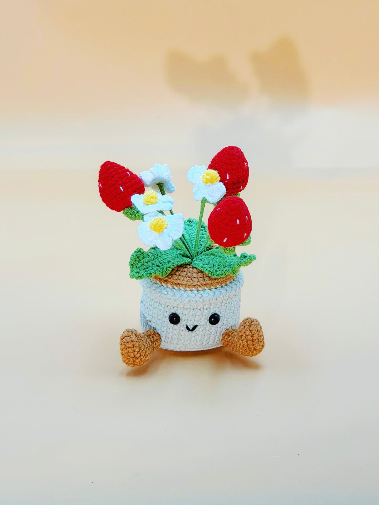 Strawberry Crochet Flower Pot