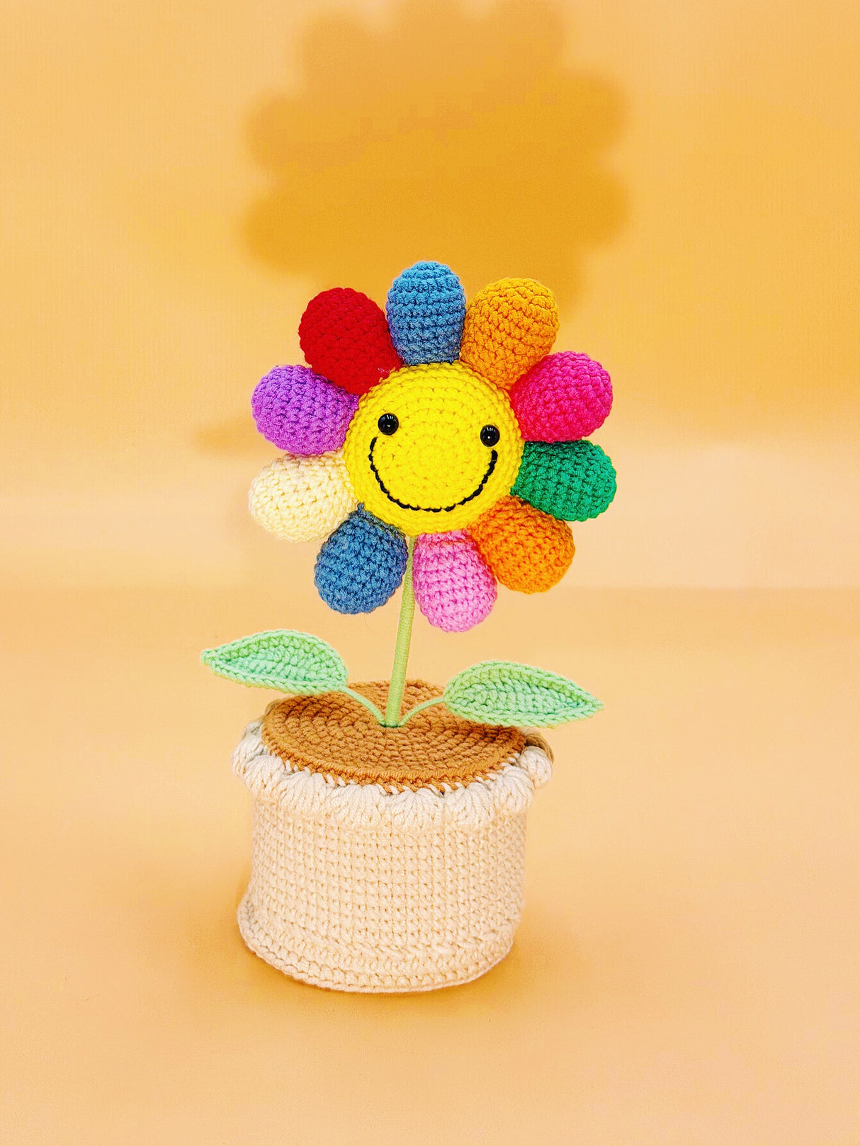 Rainbow Flower Crochet Flower Pot