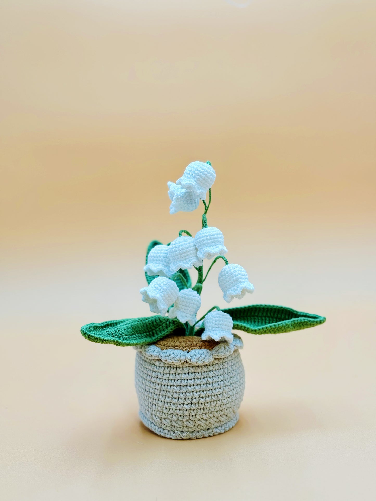 Lily of the Valley Pot (25cm)