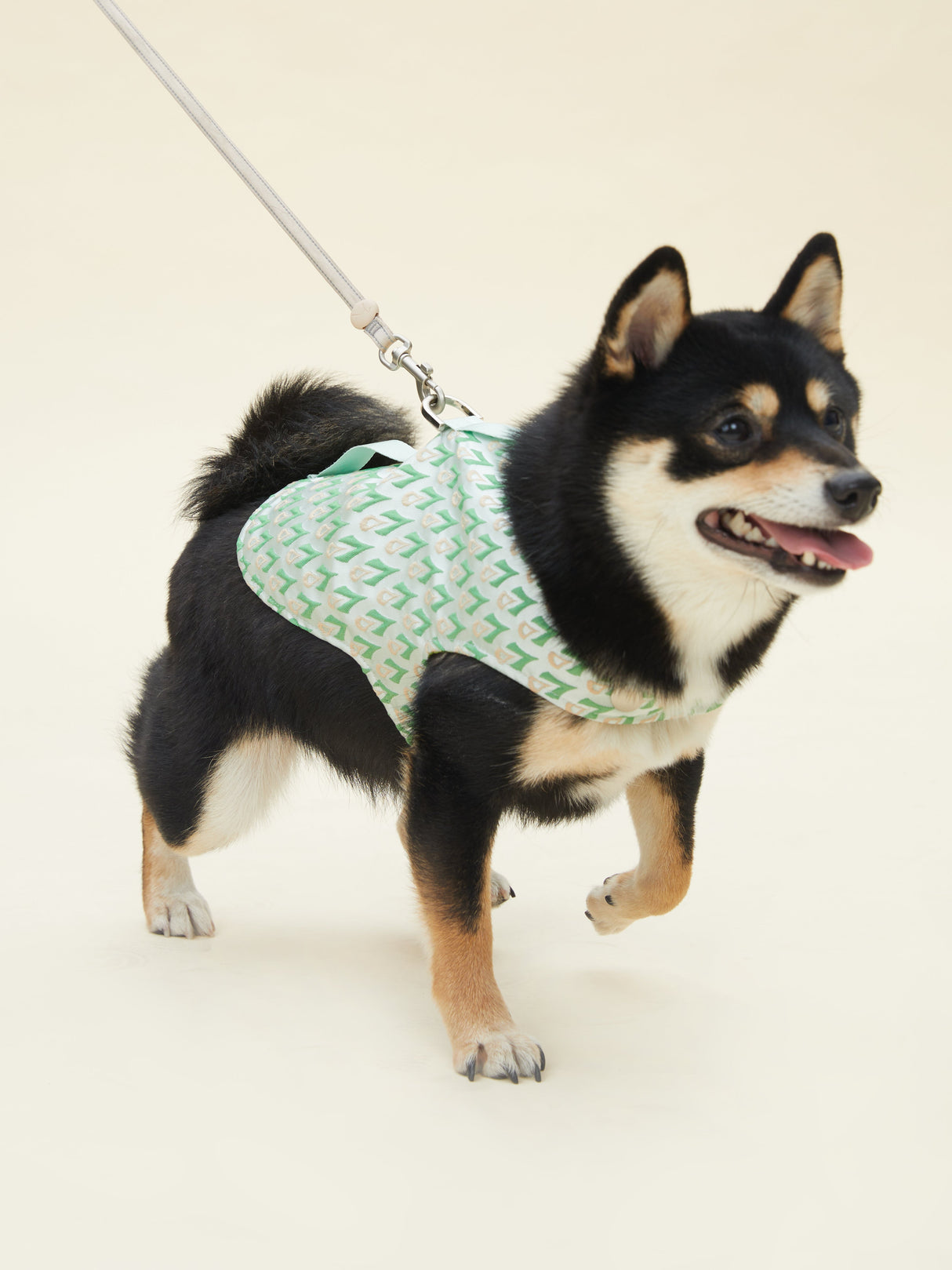 SIGNATURE HARNESS (VERDANT)