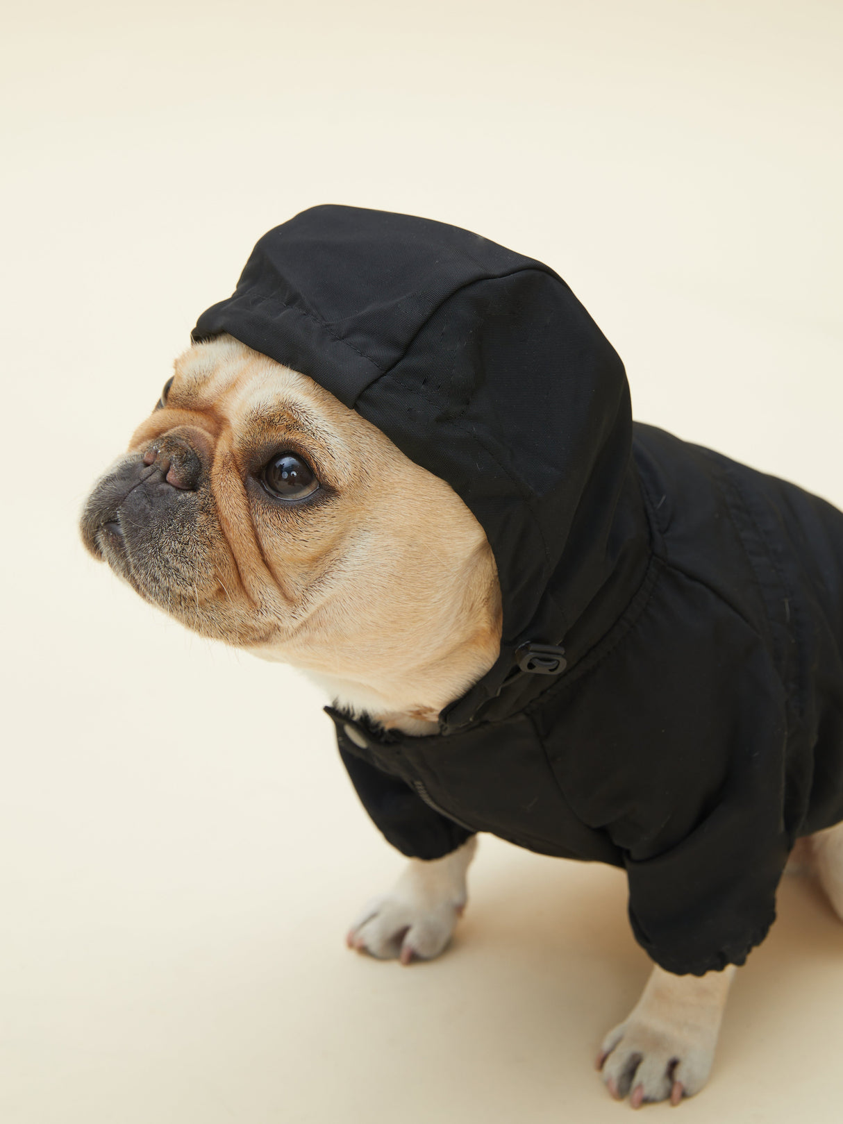 URBAN RAINCOAT/WINDBREAKER (BLACK)