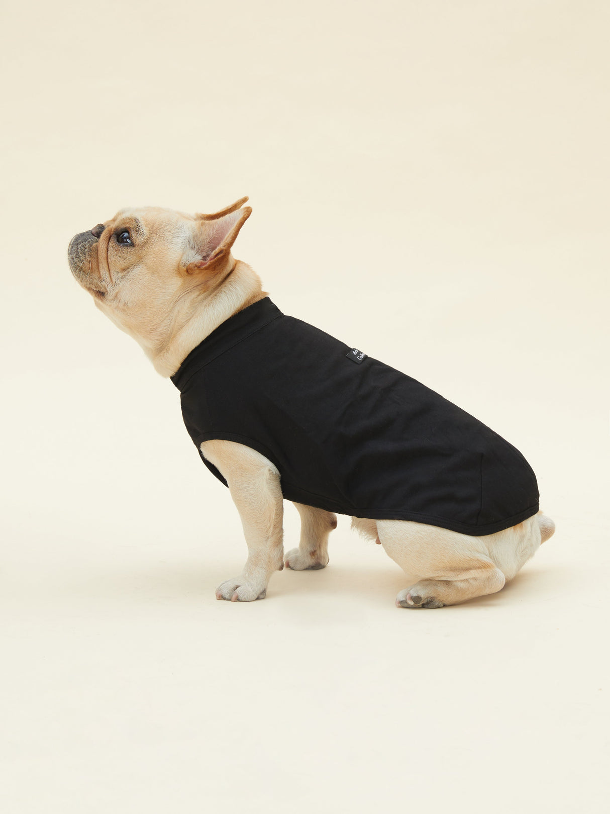 VIENNA - PURE COTTON VEST (BLACK)