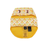 SIGNATURE HARNESS (ORANGE)