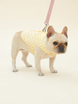 SIGNATURE HARNESS (ORANGE)