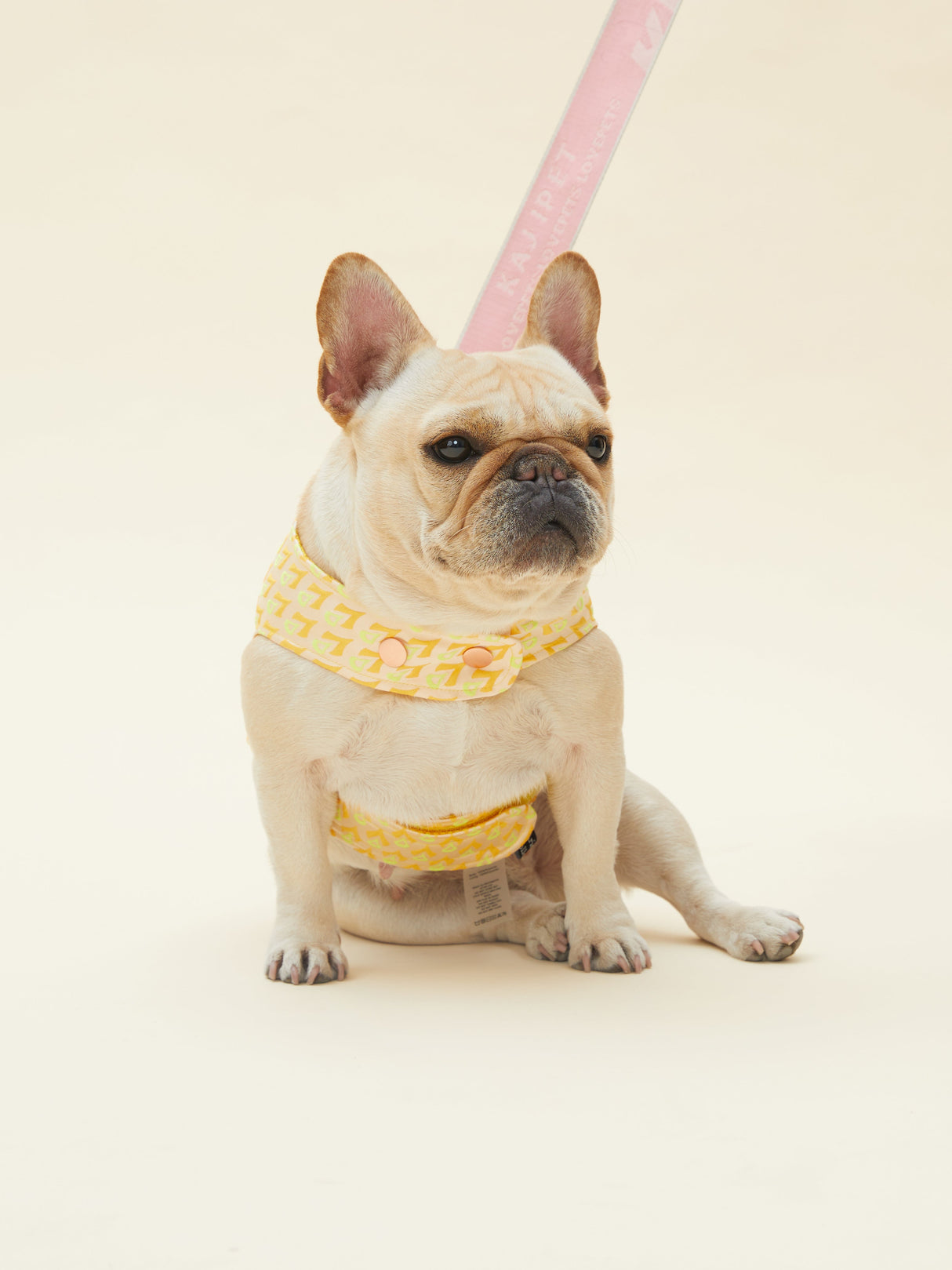 SIGNATURE HARNESS (ORANGE)