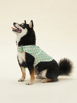 SIGNATURE HARNESS (VERDANT)