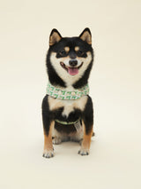 SIGNATURE HARNESS (VERDANT)