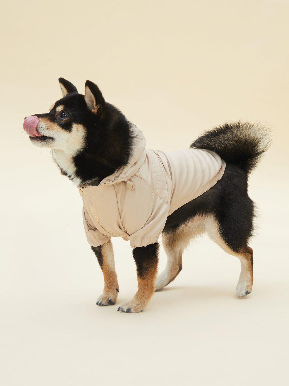 URBAN RAINCOAT/WINDBREAKER  (SAND)