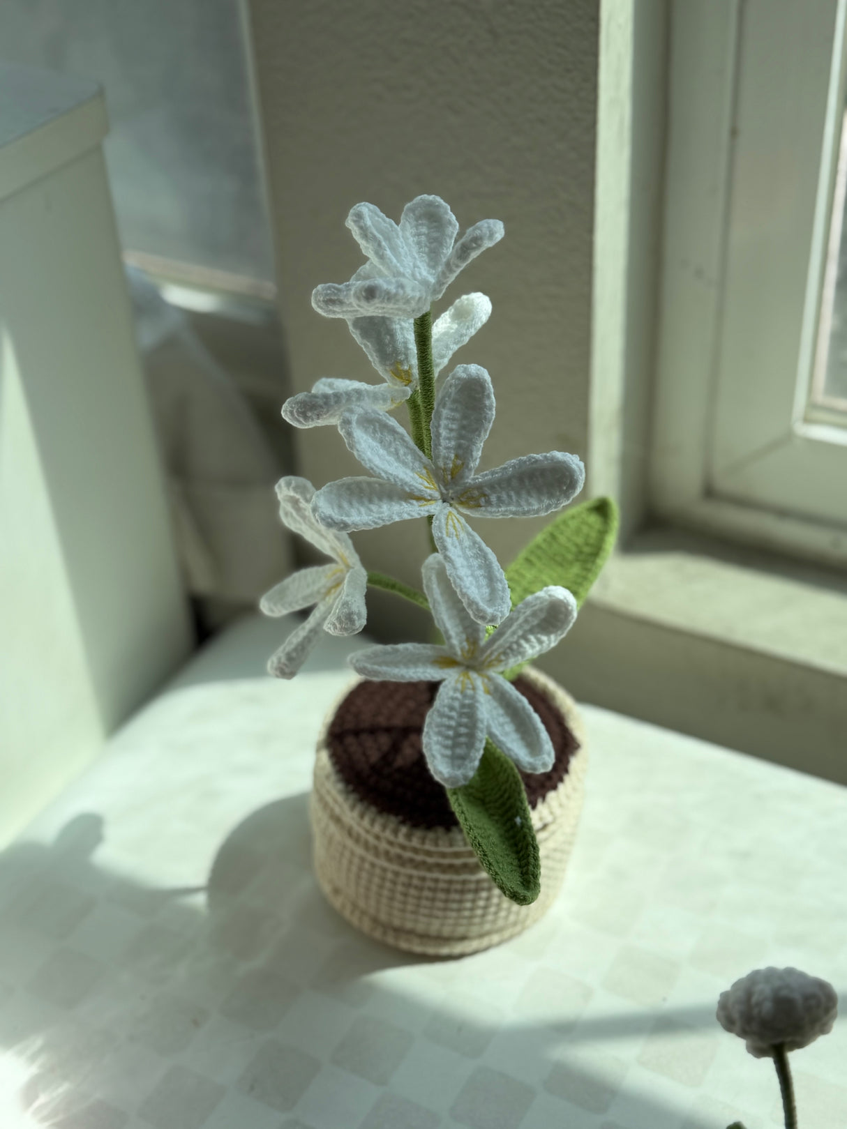 White Crochet Pot