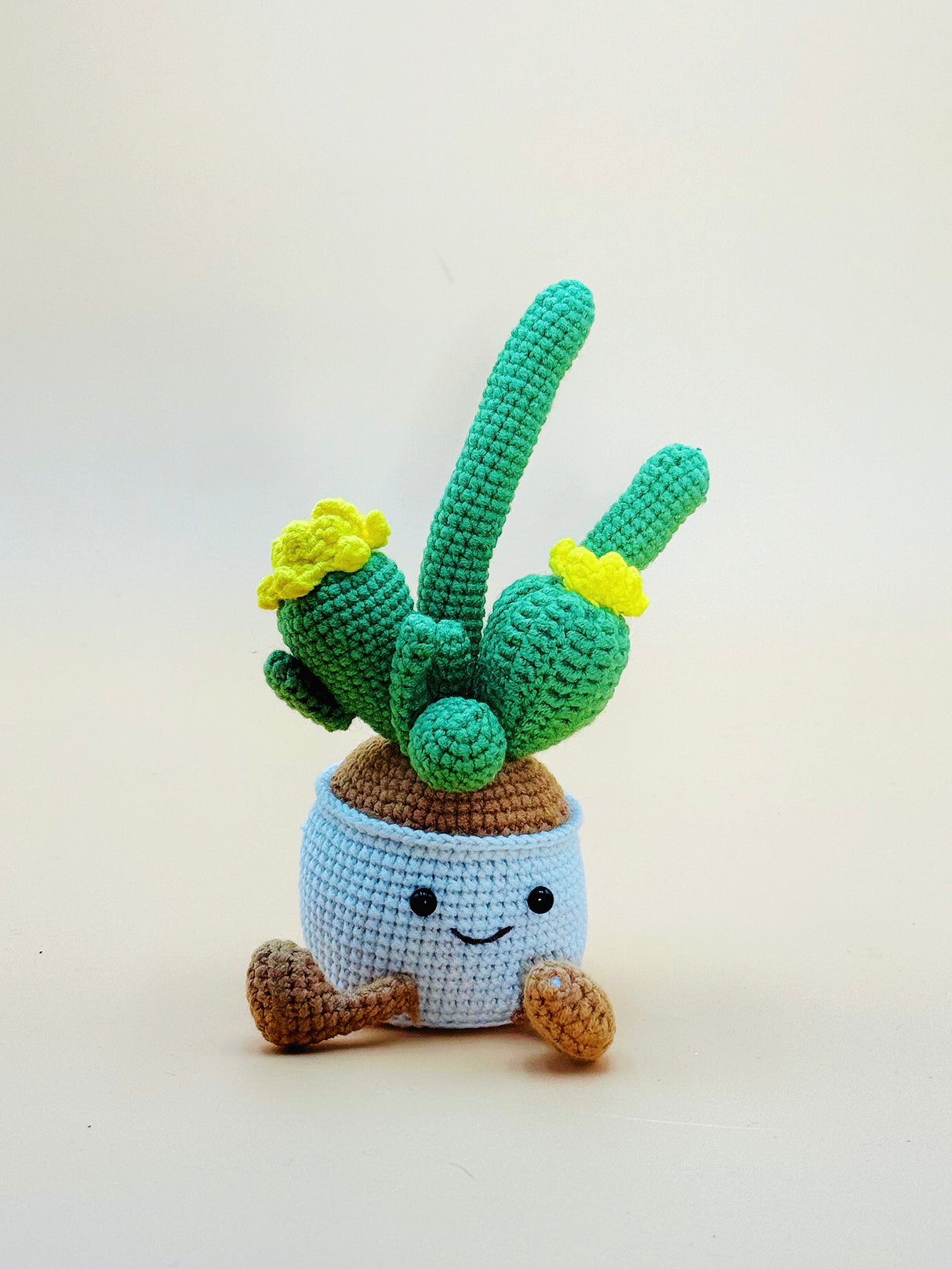 Cactus Pot
