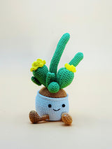 Cactus Pot