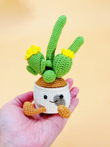 Cactus Pot