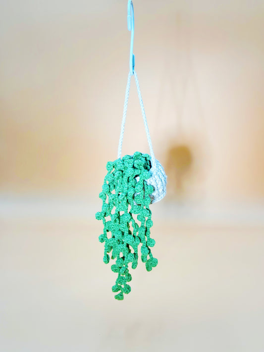 String of Pearl Hanger
