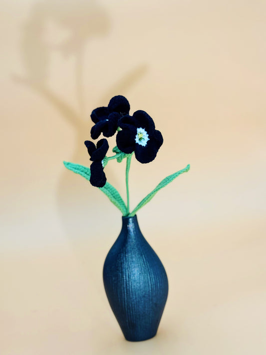 Black Primrose