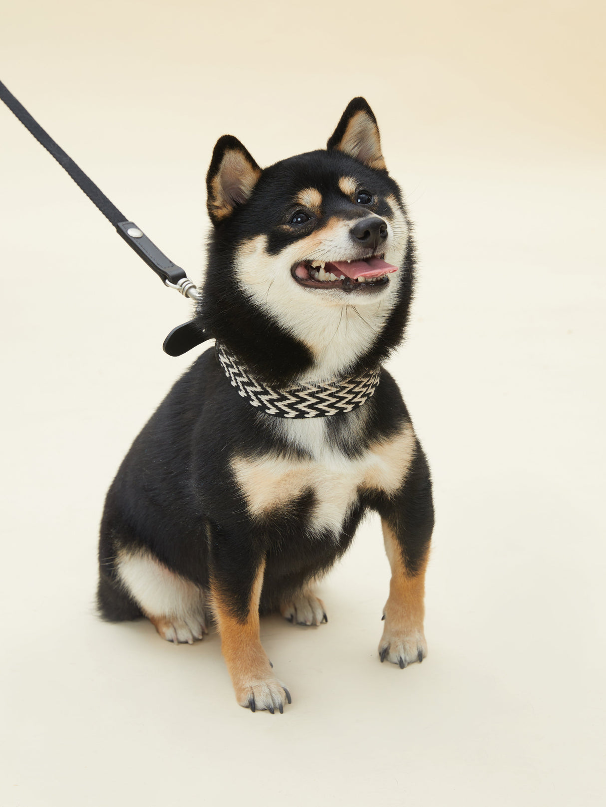 ELITE COLLAR (BLACK)