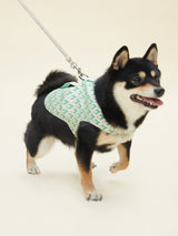 SIGNATURE HARNESS (VERDANT)