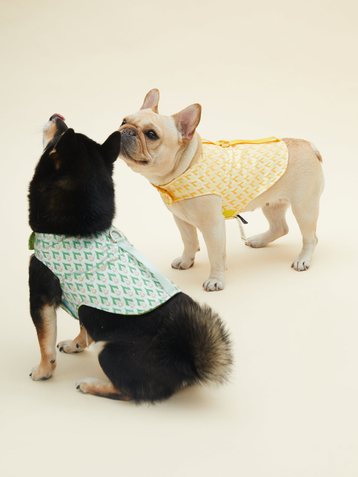 SIGNATURE HARNESS (VERDANT)